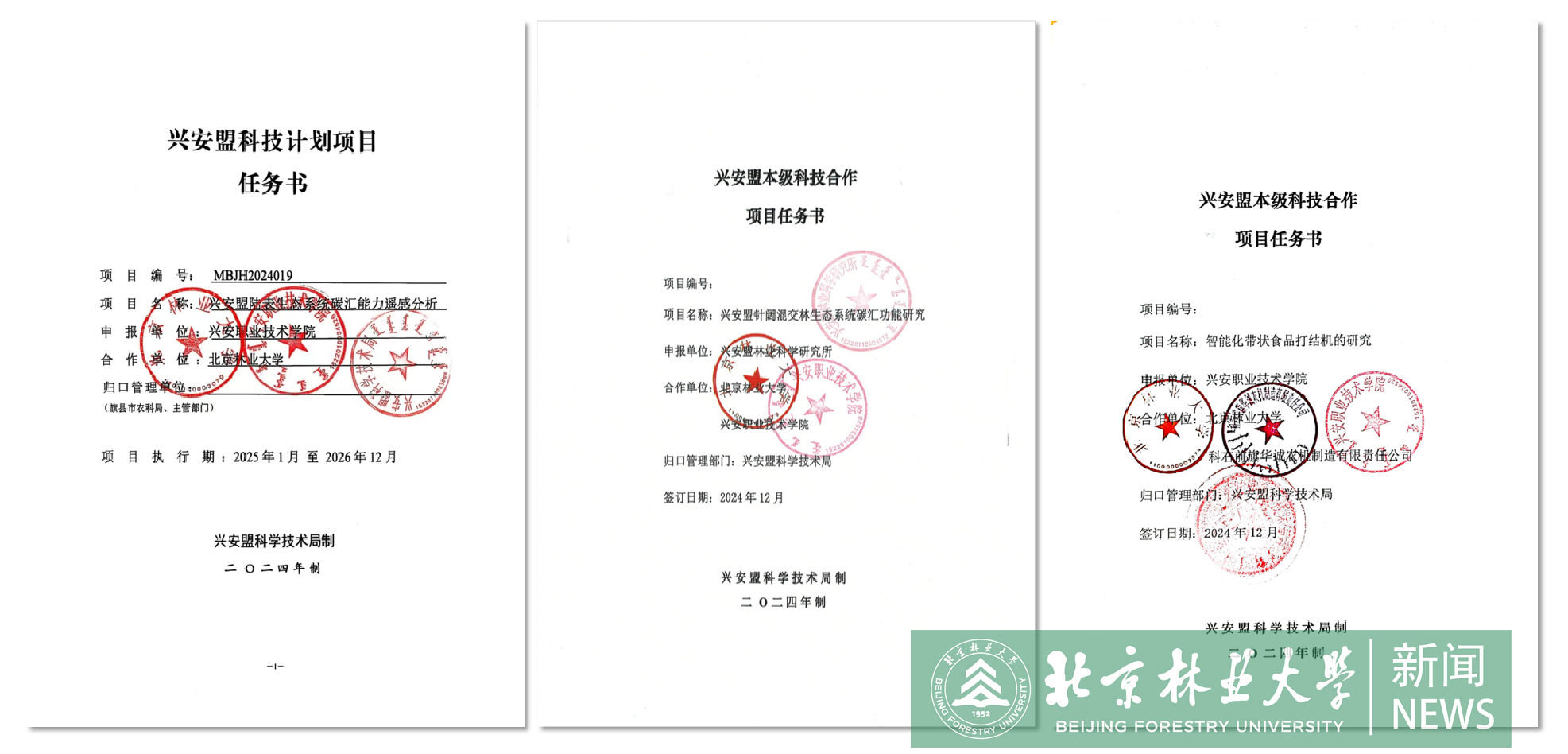 图一.png